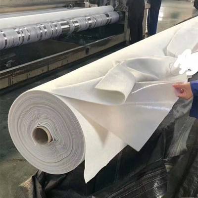 復合土工膜 現代工程中的多功能防護屏障