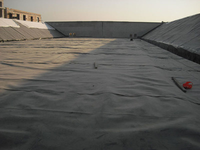 黑色HDPE光面土工膜 魚塘養殖與水池防滲的優選屏障